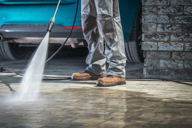 Best Dumpster Area Cleaning  in White Cloud, MI
