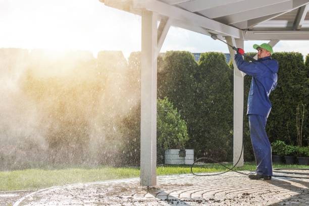 Best Pre-Holiday Cleaning  in White Cloud, MI